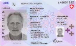 AA19 Permit N (permit for asylum-seekers)