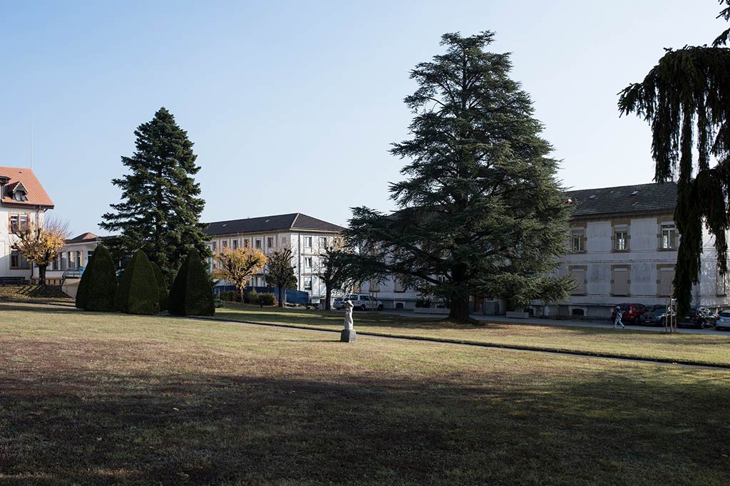 Un grand parc planté de vieux arbres et, à l’arrière-plan, divers bâtiments dans lesquels vivent les requérants d’asile.